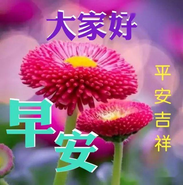 【早晨祝福图片 早上好问候句子】