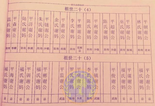 汕尾陆丰洋口村谢氏家族,用20张字辈家谱图,展示了祖先的来源
