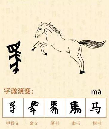 汉字密码 | "马",人类的命运之鞭