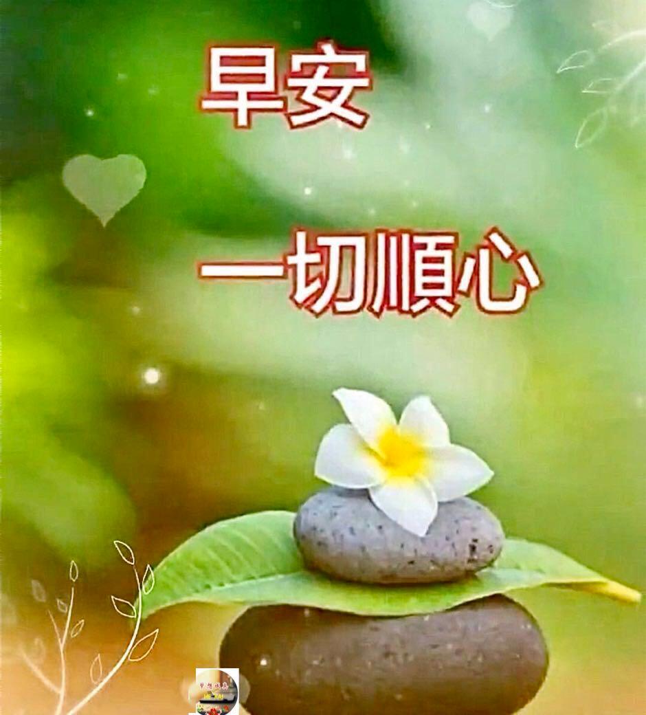 5月5日周二群发早上好问候祝福动态表情图片5月最美早晨好问候表情