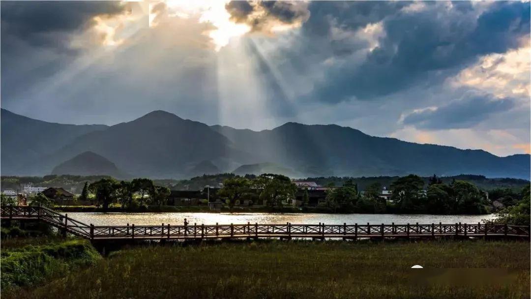 双牌县百亩花海盛开,风景美如画!成"五一"小长假打卡热地