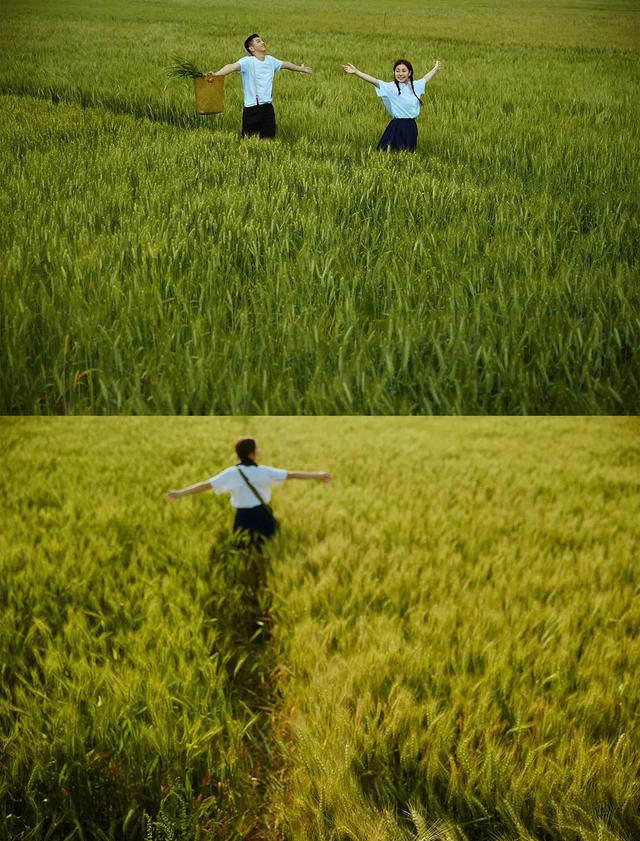 就在崇州五星村,也有好看的麦浪.