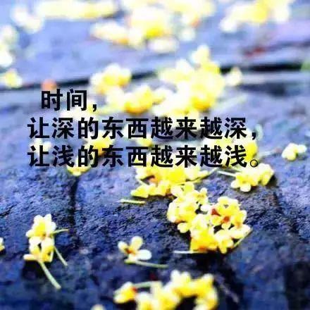 9805d52d05de48eaa527debeb79c8ebe.jpeg