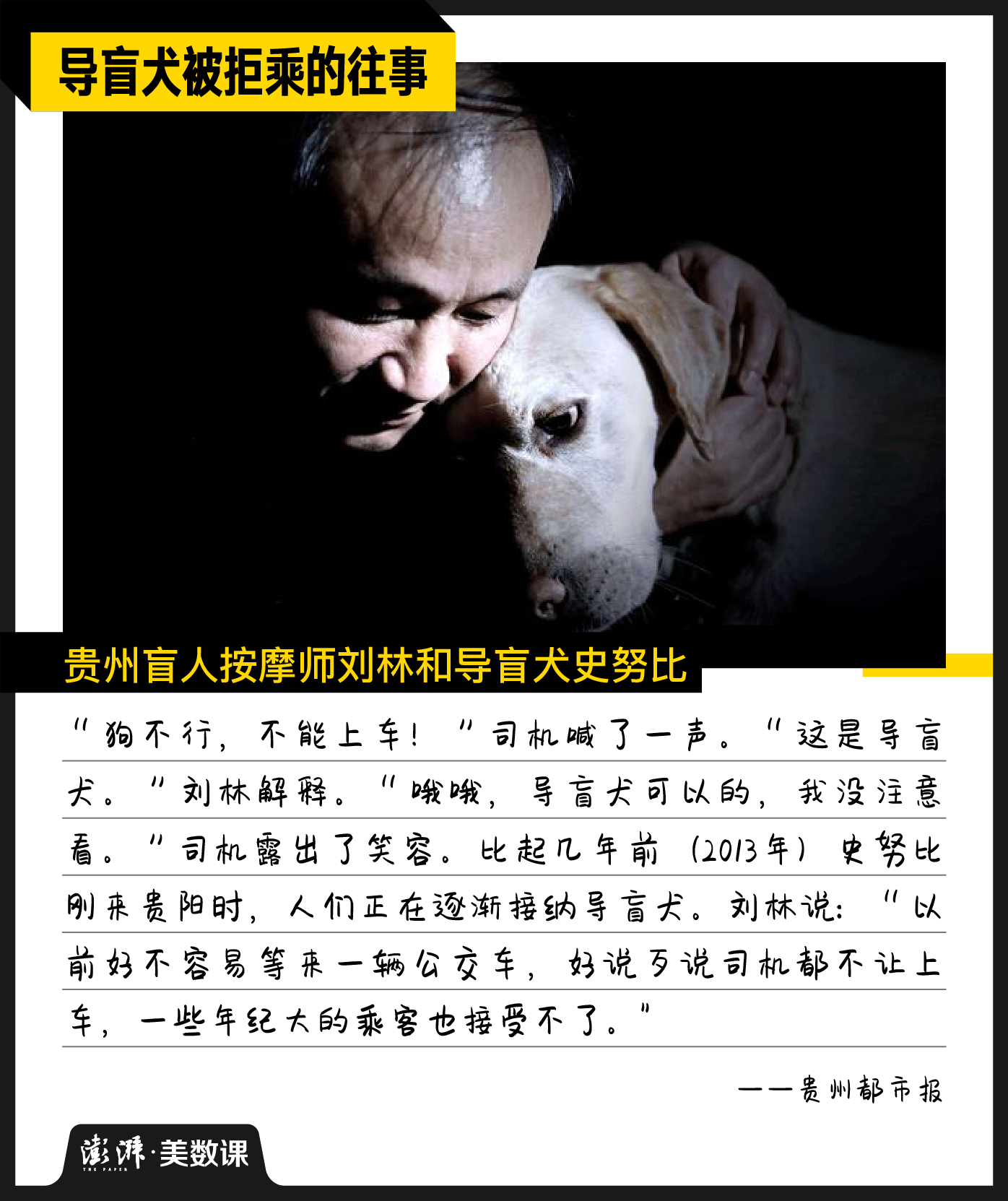 图解｜中国导盲犬不足200只，合规出行却常碰壁