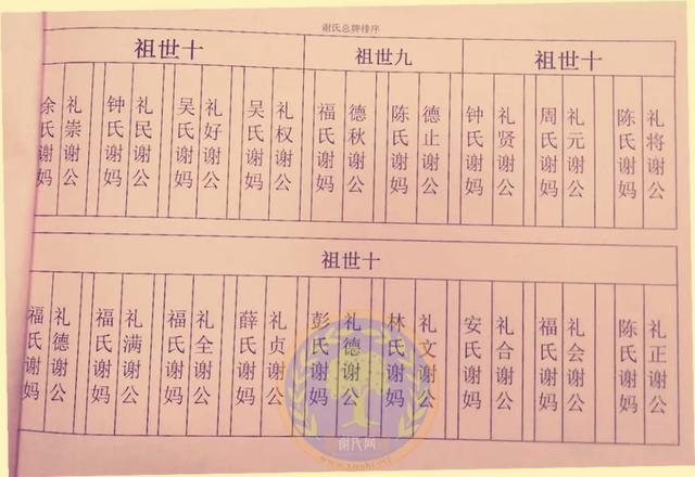 汕尾陆丰洋口村谢氏,用20张字辈家谱图,展示了祖先的来源