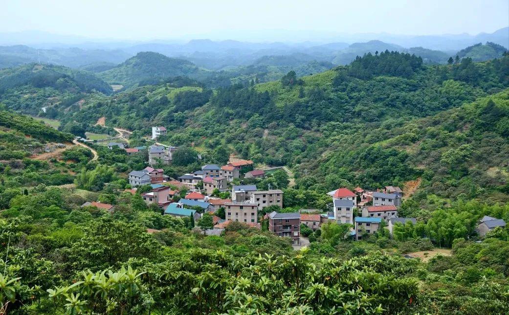 导图温馨提示面桶坞古村位于虎山街道店前村,距离市区约10公里,开车20