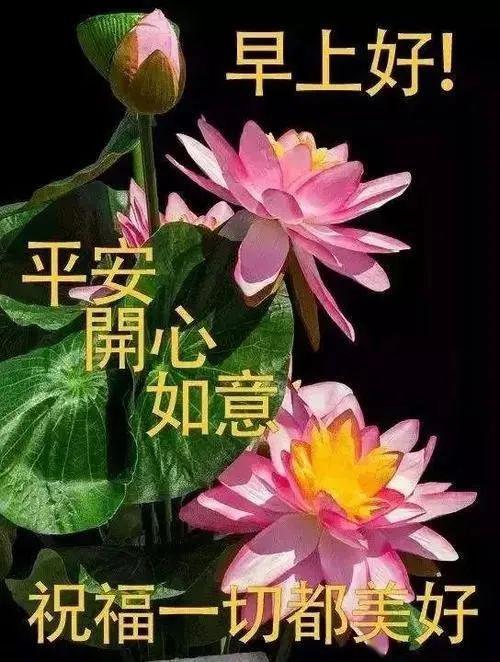 5月5日立夏群发早上好问候祝福动态表情图片 5月最美早晨好问候表情