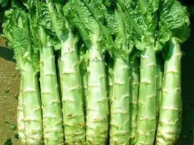 笋是发物吗 a78350b4072a44e6b25694861ebc1a03.jpeg