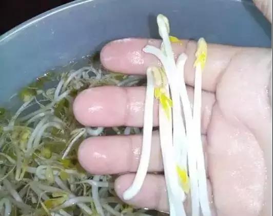 a78aa0f696cd486fb79f4b96a8f7d6e9.jpeg