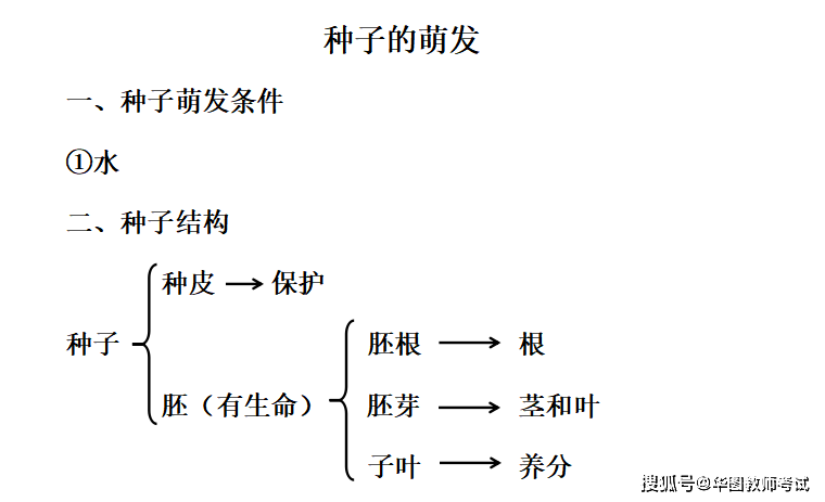 教师考试【试讲稿】生物 —《种子的萌发》_蚕豆