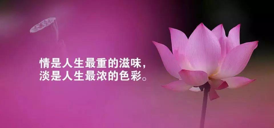 ad3f8700e6814ade86a0ee6cad289dac.jpeg