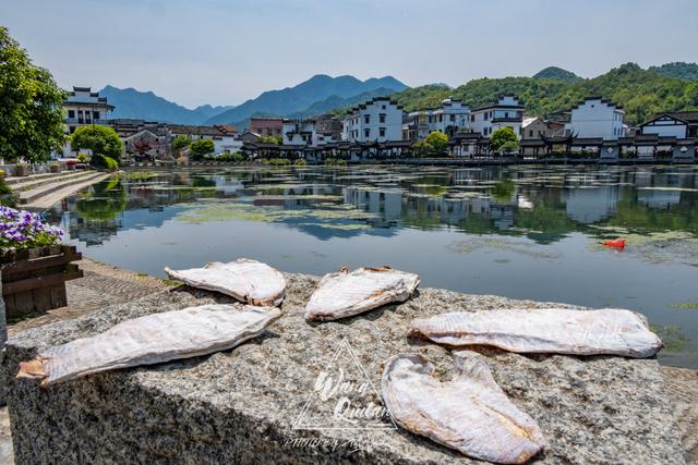 深澳古村,富春江旁的小上海,戴笠为何选此金屋藏娇,幽会情人?