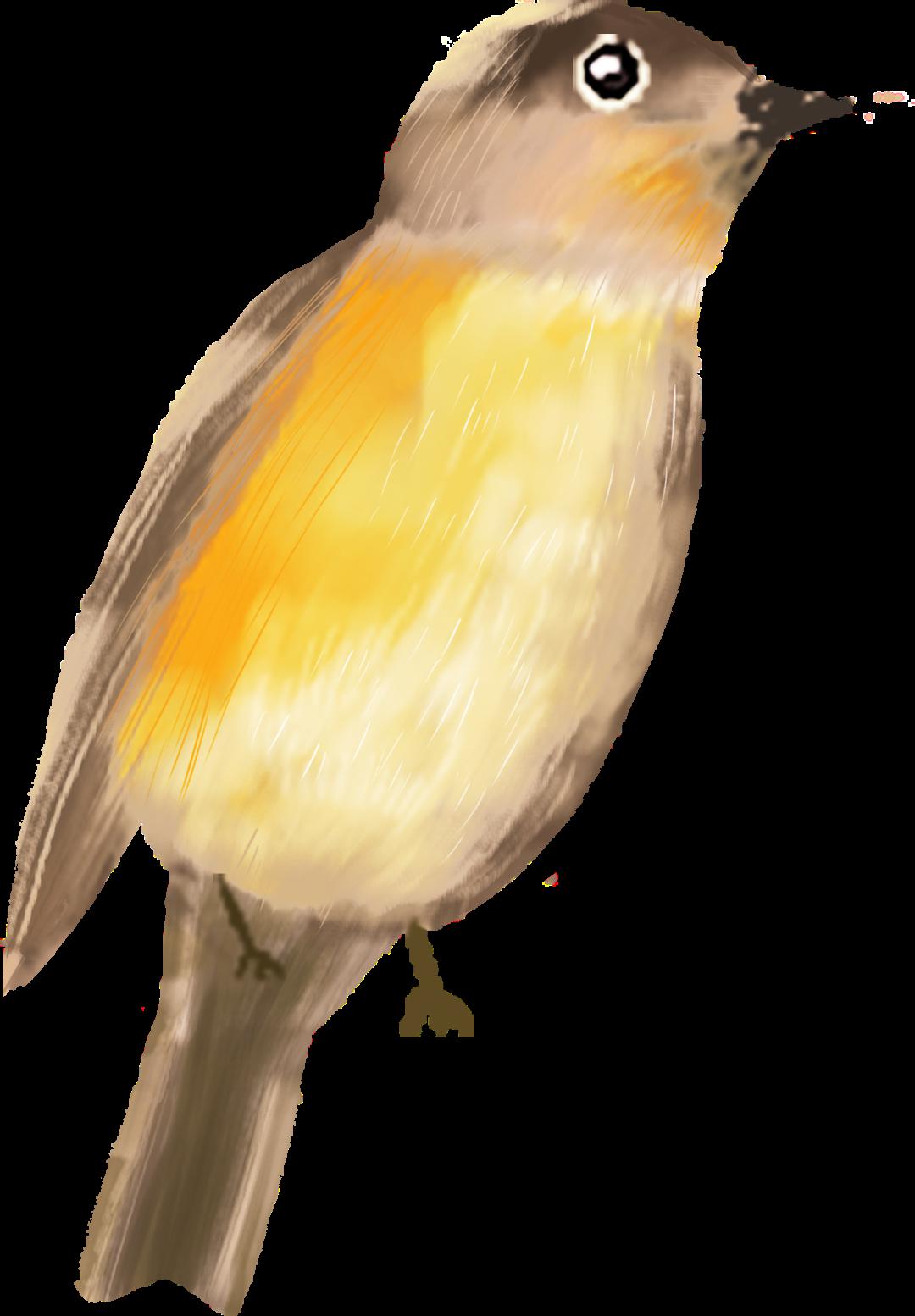 b866bd065925499aa3ebf2f393e19d4d.jpeg