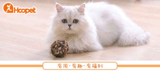 (视频时长 00′09〃 建议在wifi情况下观看) ps:我们分享的所有视频