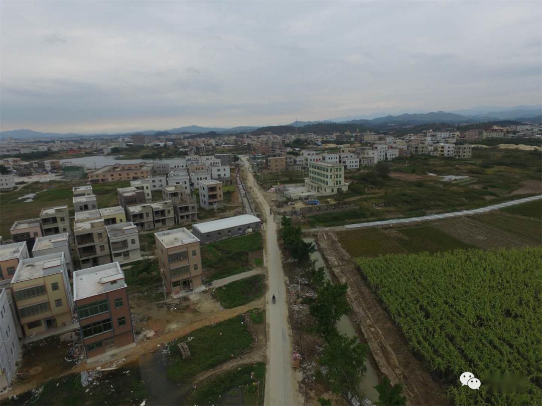 雷州客路大家村多少人口_湛江雷州客路镇挖坑村