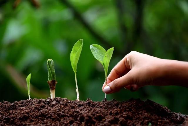 鍥而不舍打一生肖 c679e7622f964a57857f68f3b1accd26.jpeg