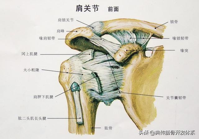 沉肩坠肘练法有什么方法练习沉肩坠肘典传