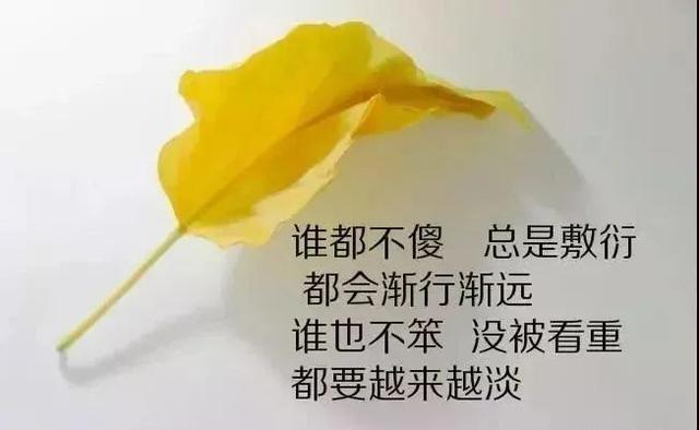 cc6a4acdd95349e9917c7917088d3c60.jpeg