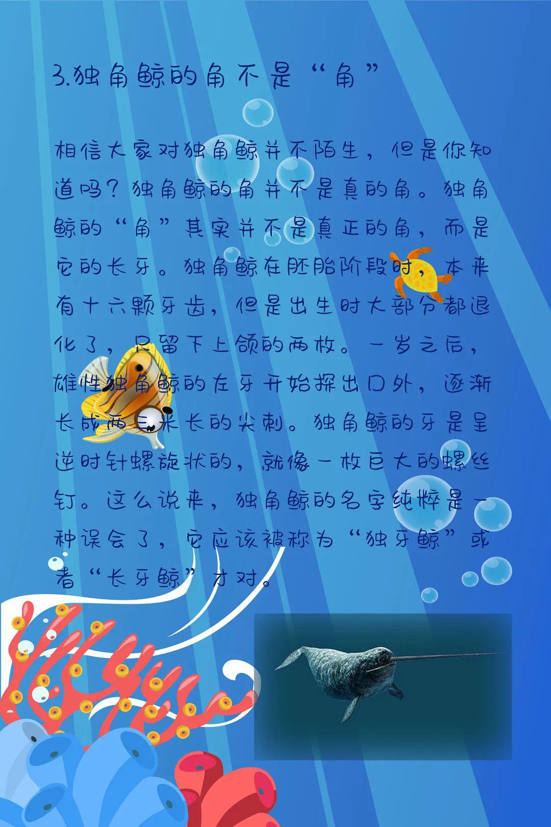 【生命画报】第六期——海洋生物