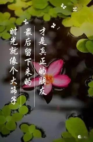ce59e6877a9d46f8a5993e00b0cb9416.jpeg
