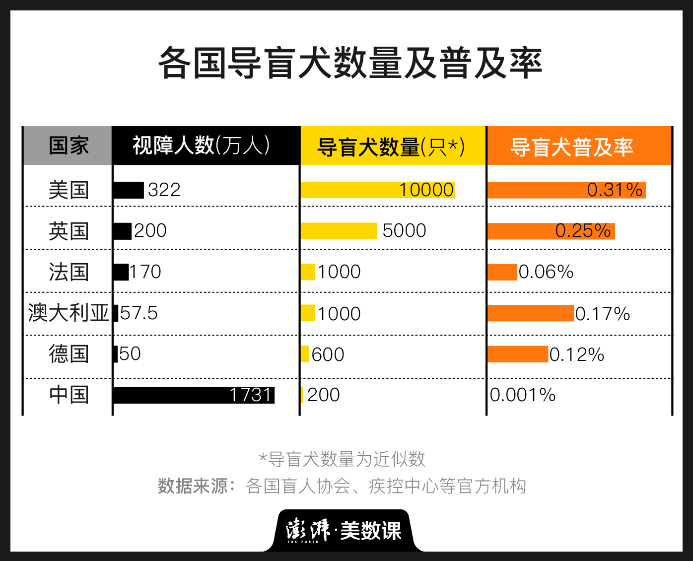 图解｜中国导盲犬不足200只，合规出行却常碰壁