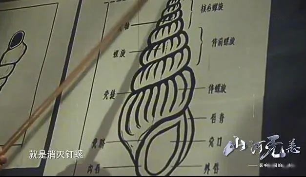 有没有吉他曲谱歌本