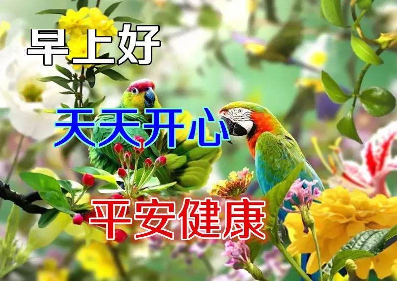 5月5日最漂亮早上好动态表情图片大全,早晨好动图美图大全