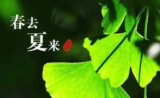 d5367db0594c4ebc963fd7d45fd2b971.jpeg