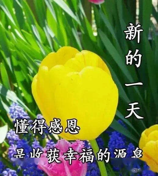 d6eb2249d7384c818e1050f3e151a72e.jpeg