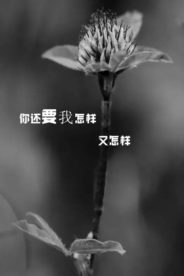 e08d7ecb8abf4a6792eb923fd4926a04.jpeg
