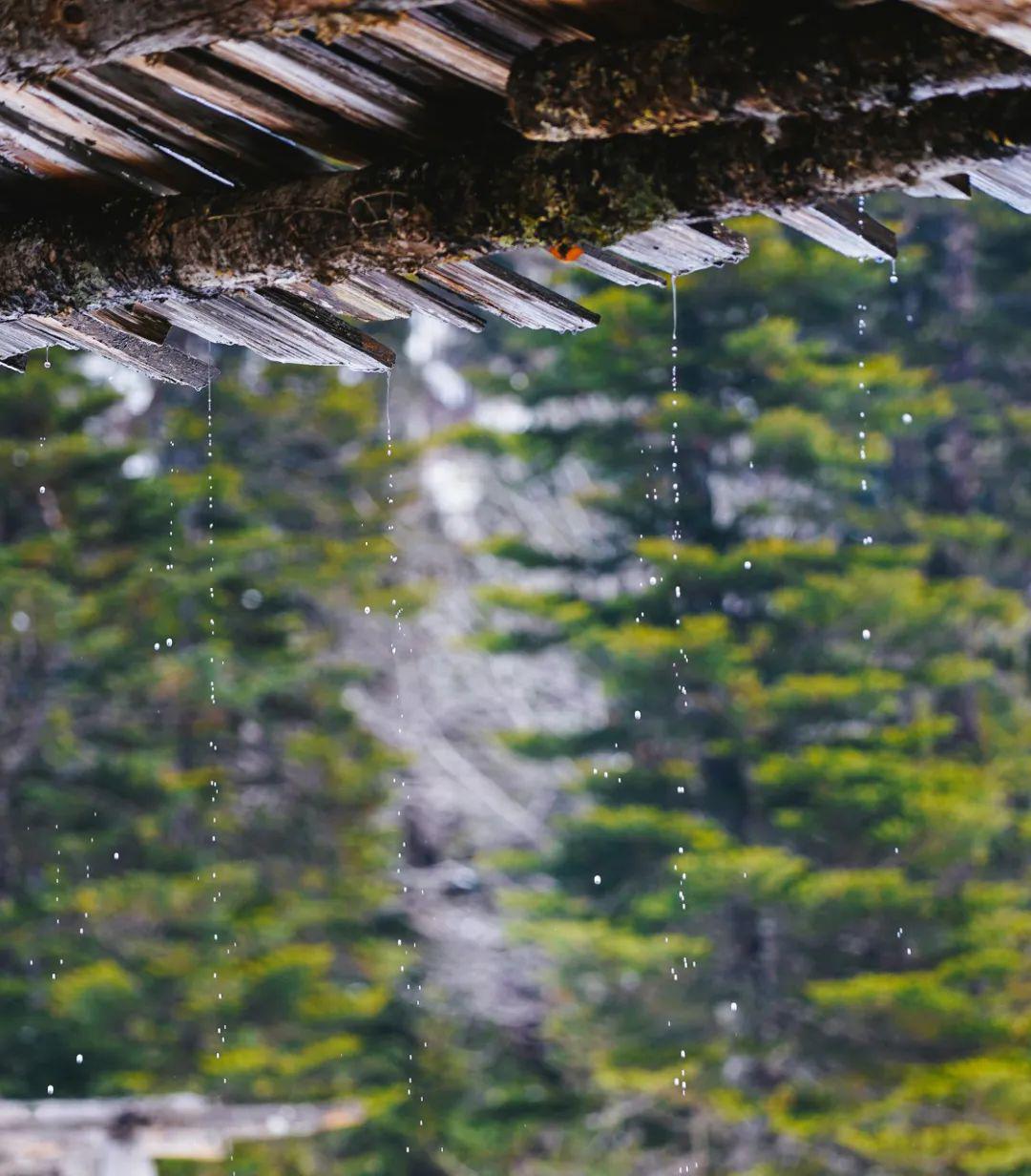 雨崩的小雨淅淅沥沥