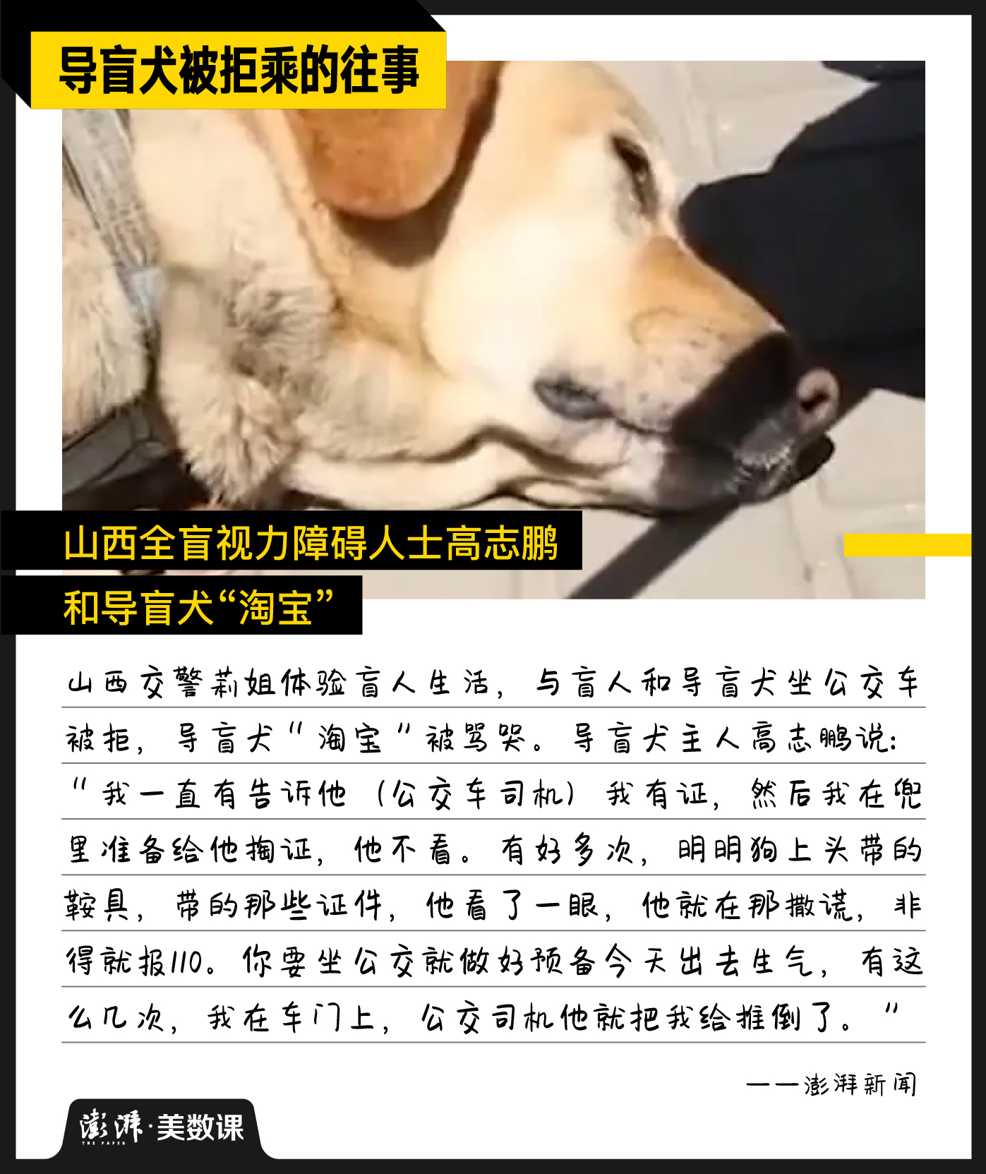 图解｜中国导盲犬不足200只，合规出行却常碰壁