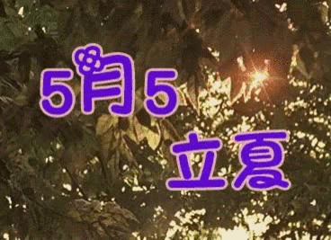 群友们立夏快乐非常漂亮的立夏节气动图表情图片带字带祝福语