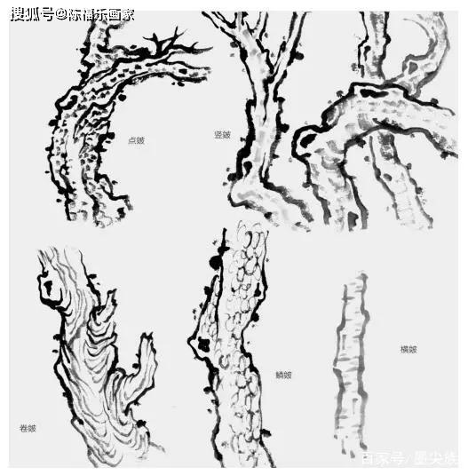 树鳞,树枝,树根,树叶以及组合树的画法