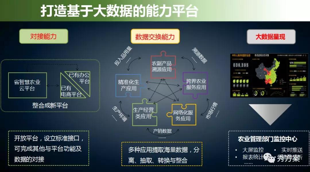 如何构建一个高效的农业大数据融合共享平台？