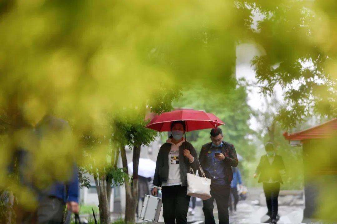 雨别做美梦了假期已结束意思是让你醒醒把不少人都pia在了雨里一场