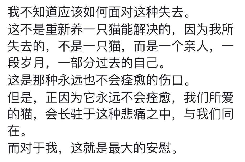 “我以为自己对猫的感情没有那么深，直到它离开的那一天…”