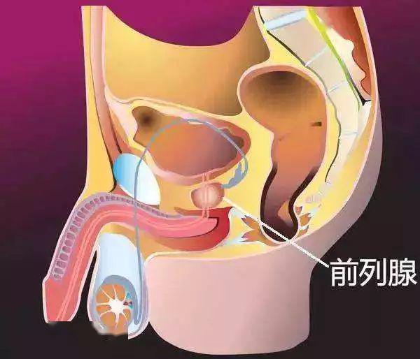听说,前列腺和骑单车不太配哦!