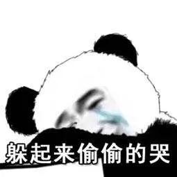 214ae8197b8440dbbd09673517232cbc.JPG