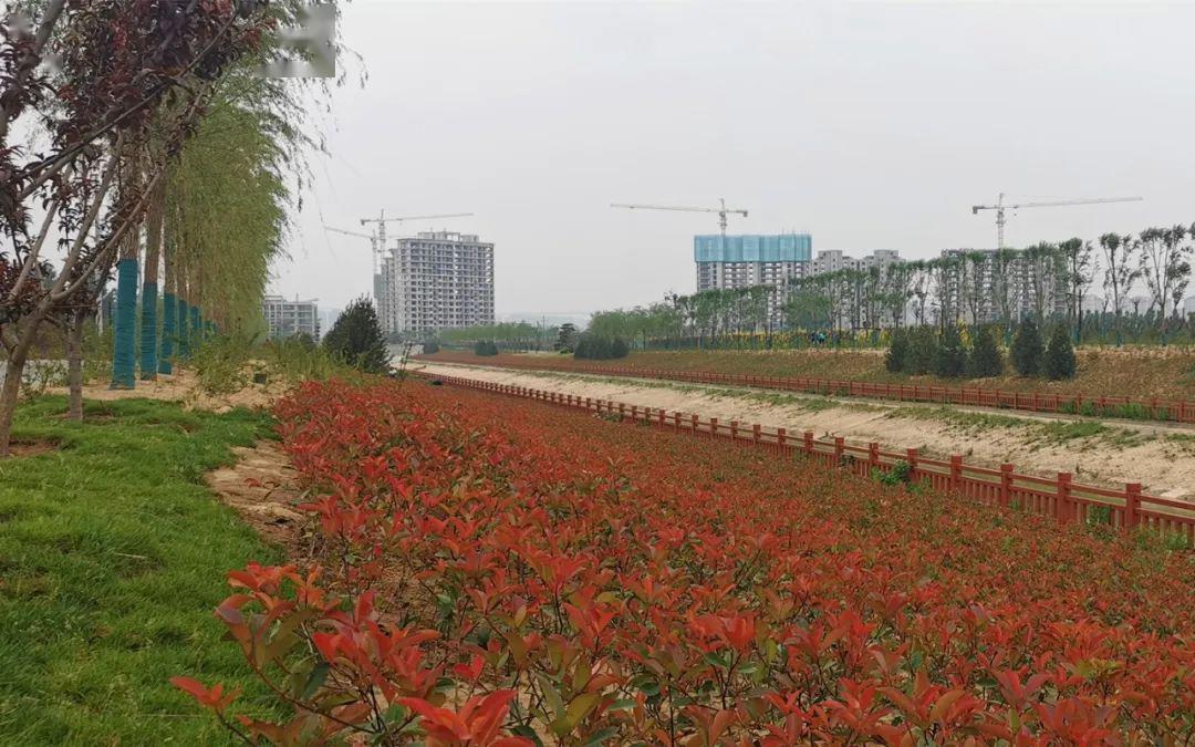 开封人口2020_开封菊花展2020图片(3)