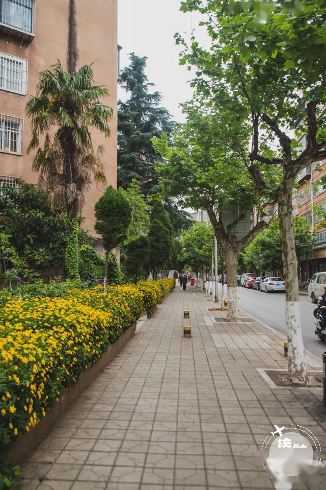 永昌区人口_富阳区永昌镇唐昌村