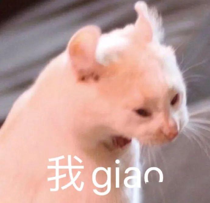 416b17da2b4743bf99e04f5160855853.jpeg