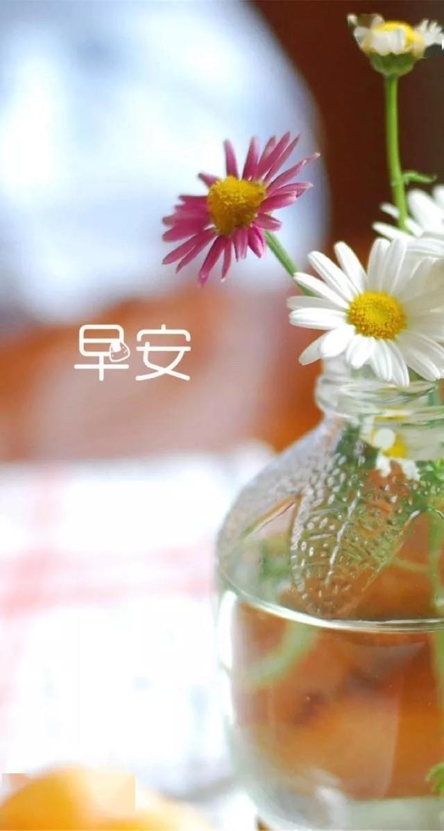 421762fca91d42db88c7681500330dad.jpeg