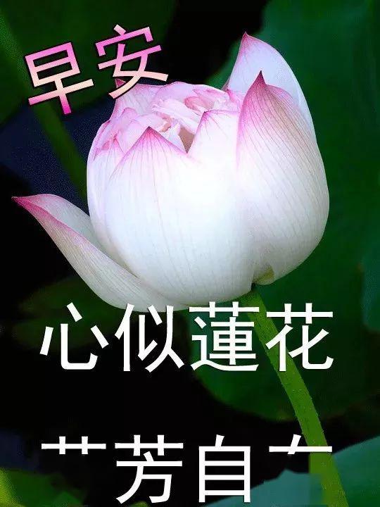 5月6日早晨温暖人的问候语句,微信早上最美的祝福文字