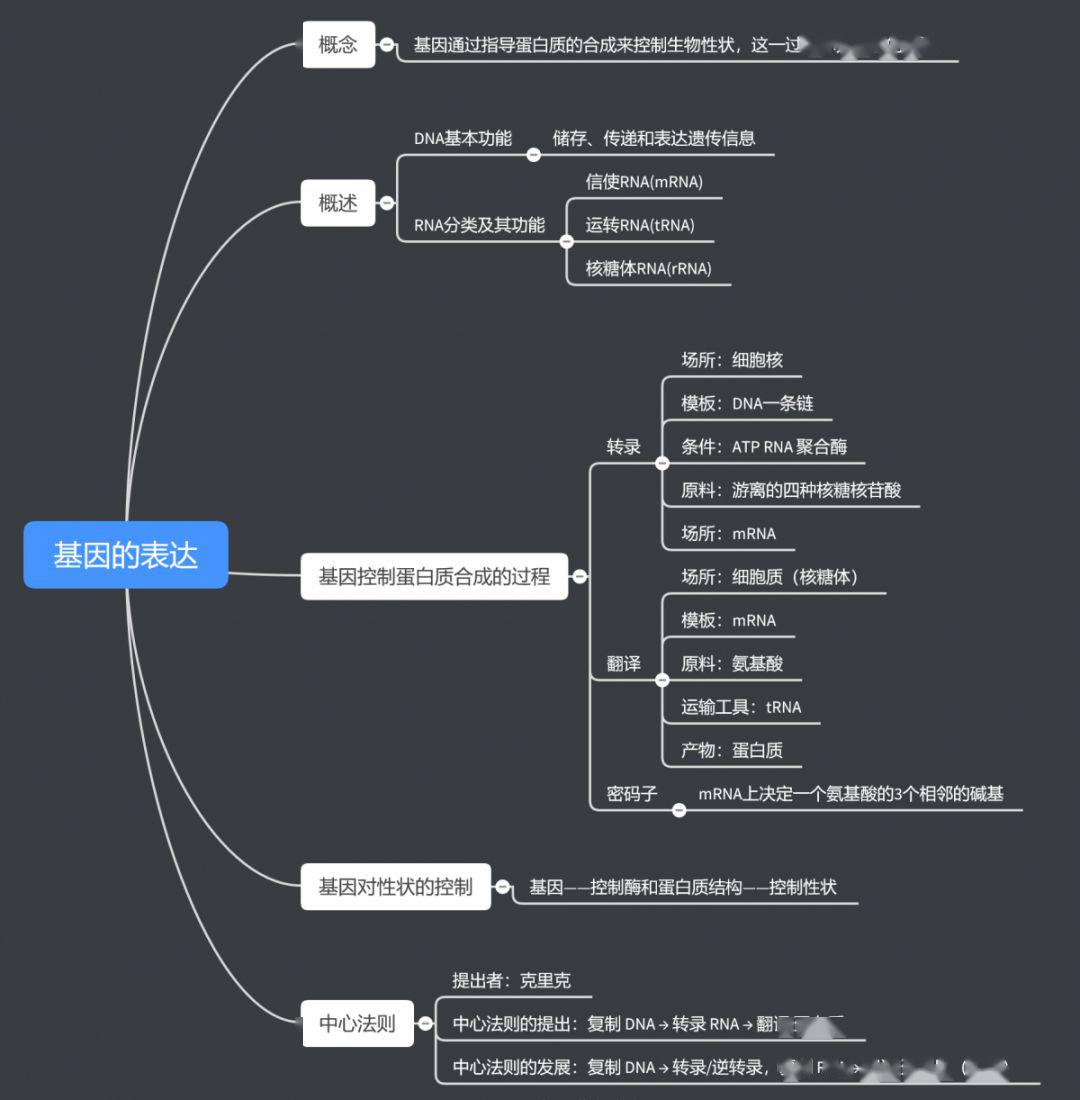 高中生物思维导图来袭!你的复习好助手!