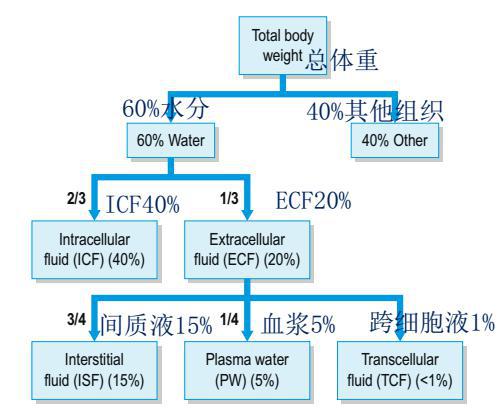 gdp低和d二聚体高临床意义_二聚体(3)