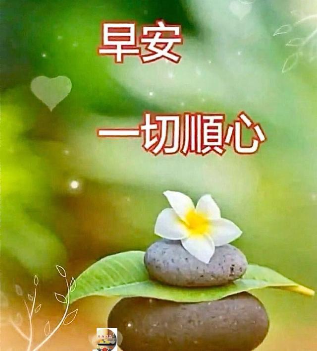 ǳƯ簲̬ͼƬ Ϻ÷Ȧ̬ףͼƬȫ