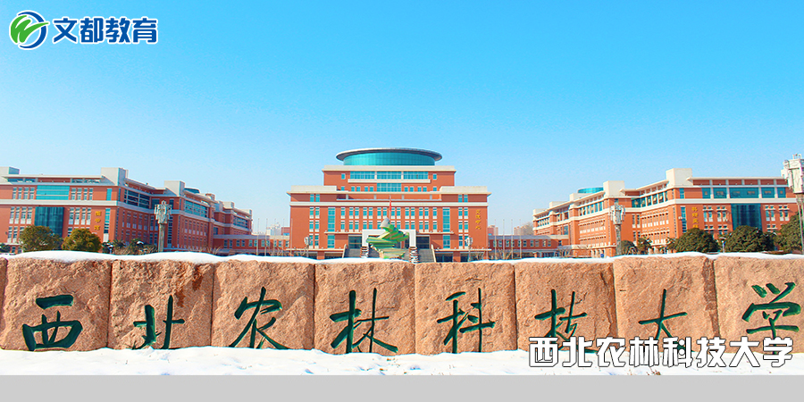 高校：强烈建议这些较容易考的“双一流”院校