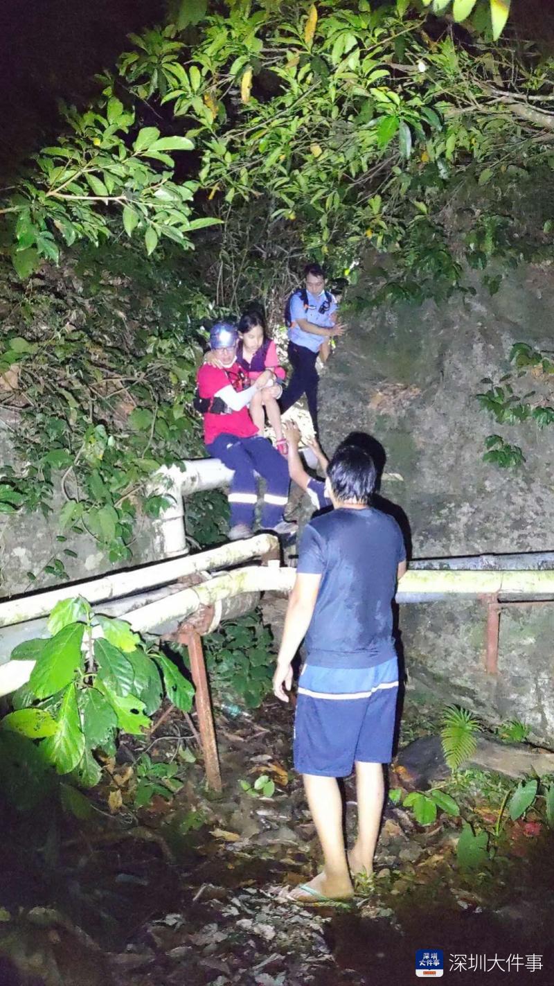 森林迷途，小孩的冒险之旅免费观看，森林迷途，小孩的冒险之旅免费观看