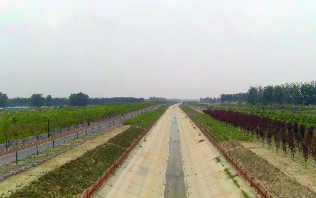 开封人口2020_开封菊花展2020图片(3)
